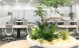 今すぐお問い合わせ！特別プランのご案内