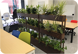 観葉植物