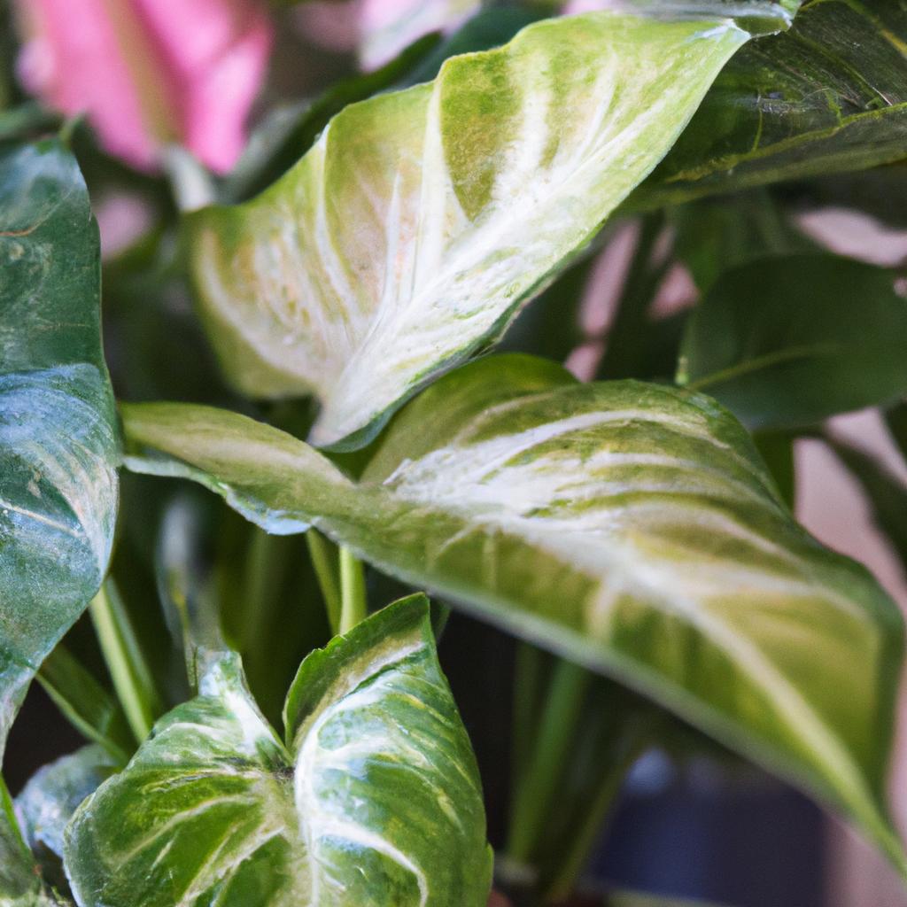 多様な植物の選択肢