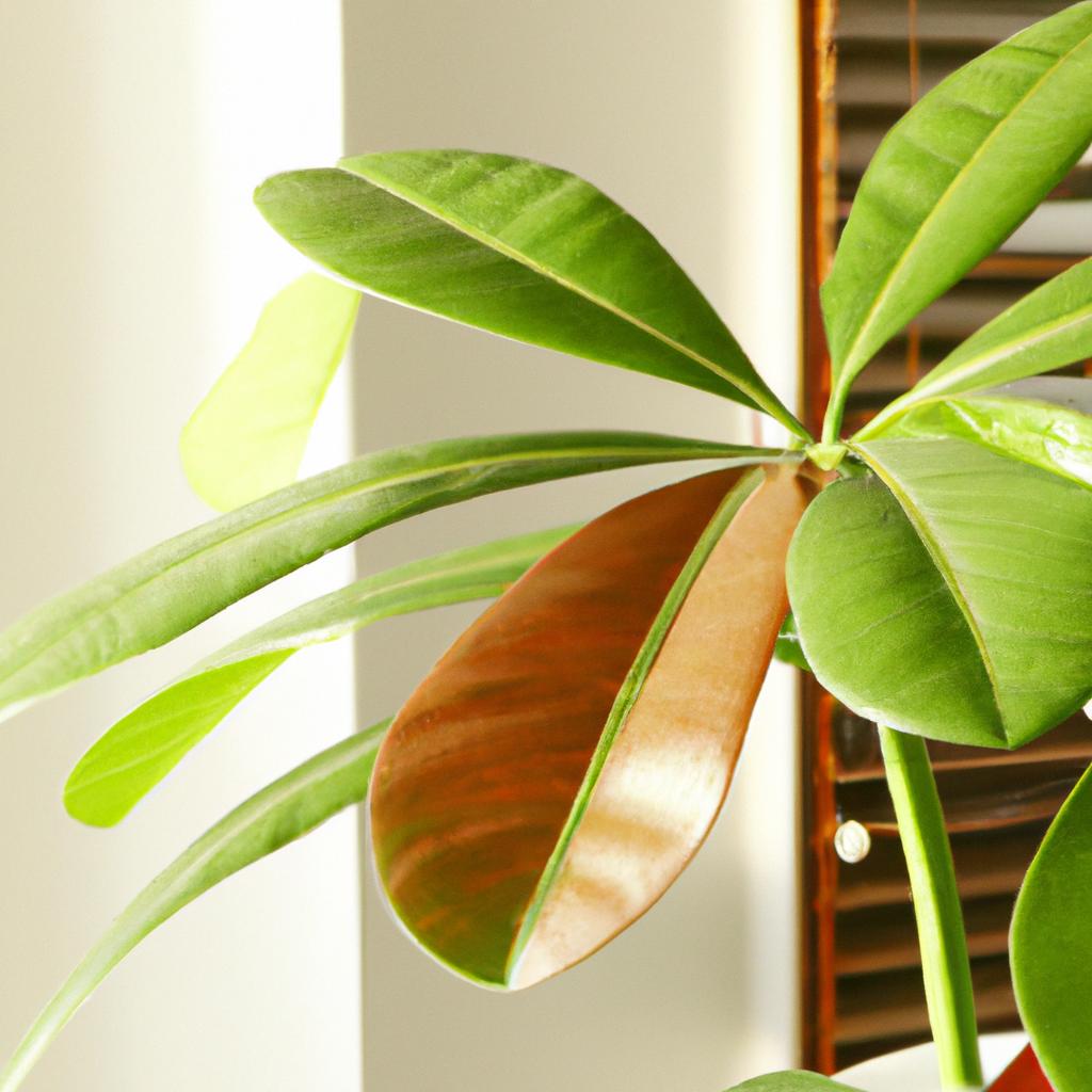 2. 植物がもたらす健康効果