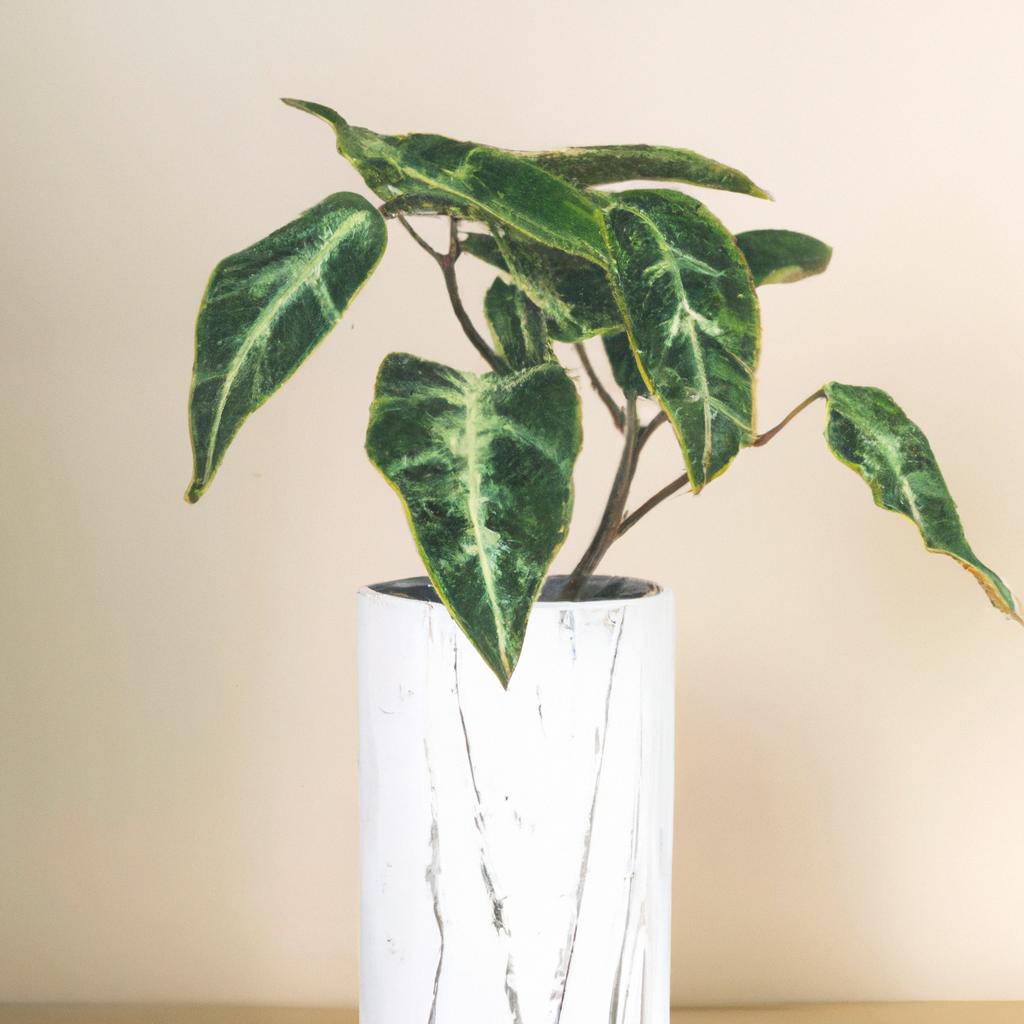 多彩な植物種類のご紹介