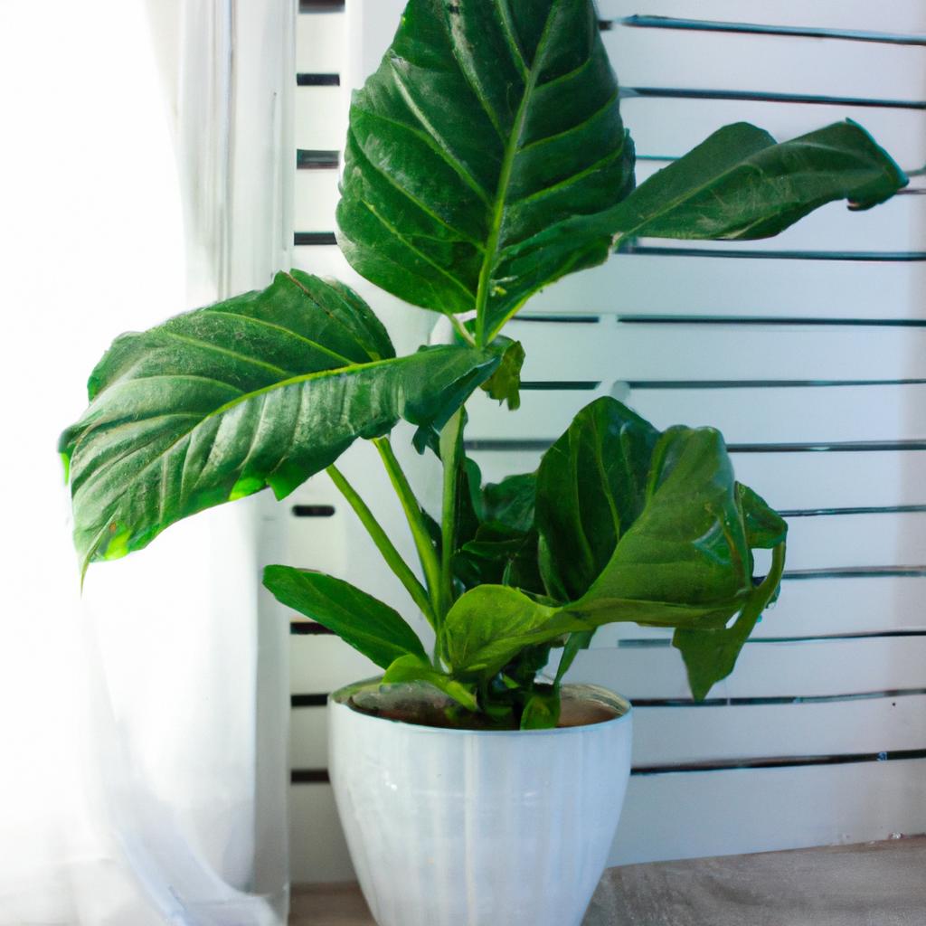 観葉植物レンタルの利点